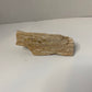 Petrified wood Chunk